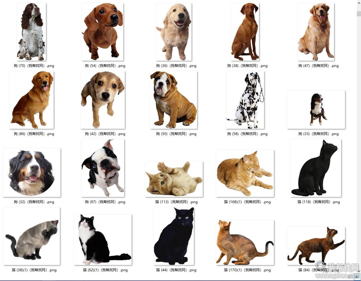最全精分类的各种动物免抠PNG透明图片素材